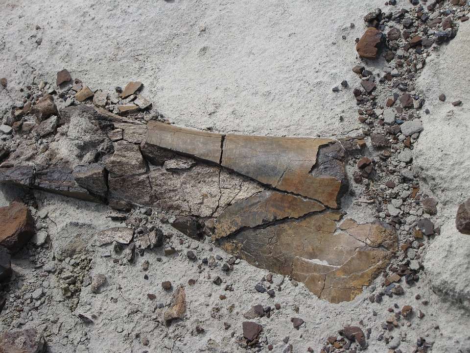 Inventaire des sites archéologiques et paléontologiques